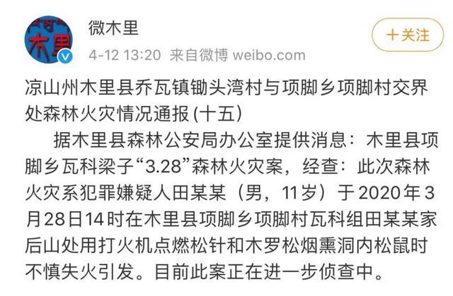 四川凉山木里通报“3·28”森林火灾：11岁男孩点燃树木引发，你怎么看这件事四川调查组彻查火灾情况四川大凉山再次发生火灾，到底是天灾还是人祸？怎样科学的灭火 佳能