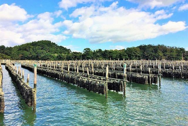 从未见过大海，5月份想去海边旅游，福建哪里海干净台风过后海滩上有没有海鲜生蚝养殖误区