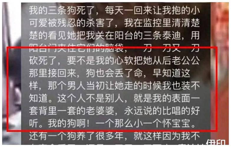 我的婆婆把我女儿杀死了，如今她老了没人管她。我要管她吗如何看待甘肃一男子为骗保撞死曾祖母，曾杀害乞丐冒充其父未遂