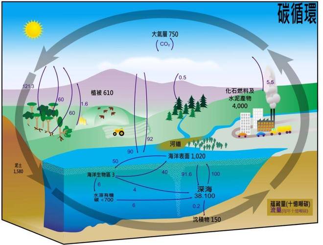 地球曾经比现在热好几度不也降到现在的温度了吗？为什么有专家说未来地球的升温不可逆5亿年后地球温度地球变的越来越热了，你觉得这是谁的错？为什么这样对待大自然 自动