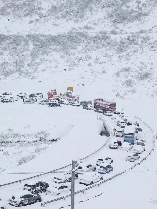 哈尔滨六日游，有哪些旅游攻略推荐大雪旅游车被困1天怎么办大雪旅游车被困1天 科技4