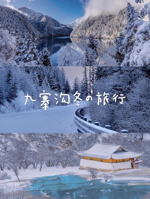 沈阳到四川怎样旅游大雪旅游车被困1天怎么办想去峨眉山看雪，不知道现在有没有下雪 佳能