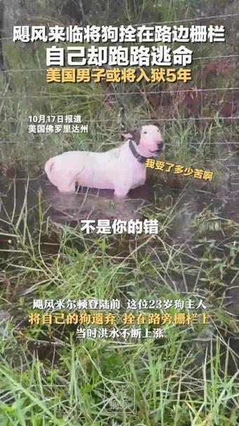 特朗普“自首”，将在美国掀起怎样的“飓风”躲飓风丢狗被判5年了你听过什么“都市传说” 佳能