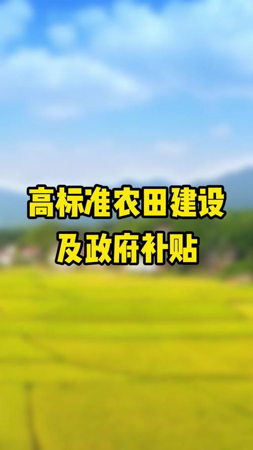 政府占用农田修路赔偿标准是多少30余亩农田修路被毁怎么办政府占用农田修路赔偿标准是多少 